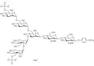 Man[6P]α(1-2)Manα(1-3)[Man[6P]α(1-6)Manα(1-6)]Manβ(1-4)GlcNAcβ(1-4)GlcNAc-β-MP