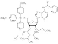 DMT-2'-O-MOE-rA(Bz) Phosphoramidite