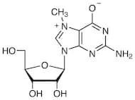 7-Methylguanosine