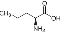 L-Norvaline