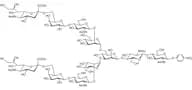 Disialylnonasaccharide-β-pNP