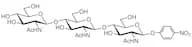 4-Nitrophenyl N,N',N''-Triacetyl-β-chitotrioside