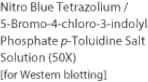 Nitro Blue Tetrazolium / 5-Bromo-4-chloro-3-indolyl Phosphate p-Toluidine Salt Solution (50X) [for…