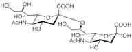 N-Acetylneuraminic Acid Dimer α(2-8)