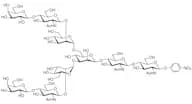 Nonasaccharide-β-pNP