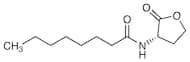 N-Octanoyl-L-homoserine Lactone