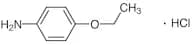 p-Phenetidine Hydrochloride
