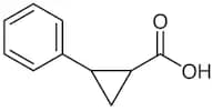 trans-2-Phenyl-1-cyclopropanecarboxylic Acid