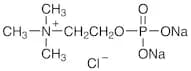 Phosphocholine Chloride Sodium Salt [for Cholinesterase Substrate]