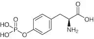O-Phospho-L-tyrosine