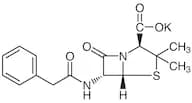 Penicillin G Potassium Salt