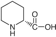 D-Pipecolic Acid