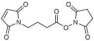 N-Succinimidyl 4-Maleimidobutyrate [Cross-linking Reagent]
