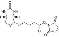 N-Succinimidyl D-Biotinate