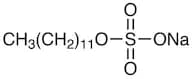 Sodium Dodecyl Sulfate [for Electrophoresis]