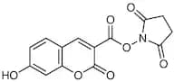 N-Succinimidyl 7-Hydroxycoumarin-3-carboxylate