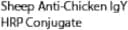 Sheep Anti-Chicken IgY HRP Conjugate