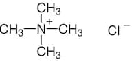 Tetramethylammonium Chloride