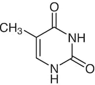 Thymine