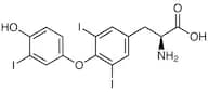 3,3',5-Triiodo-L-thyronine