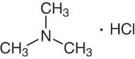 Trimethylamine Hydrochloride