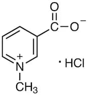 Trigonelline Hydrochloride