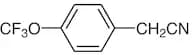 4-(Trifluoromethoxy)phenylacetonitrile