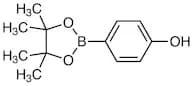 4-(4,4,5,5-Tetramethyl-1,3,2-dioxaborolan-2-yl)phenol