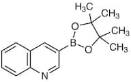 3-(4,4,5,5-Tetramethyl-1,3,2-dioxaborolan-2-yl)quinoline