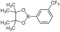 4,4,5,5-Tetramethyl-2-[3-(trifluoromethyl)phenyl]-1,3,2-dioxaborolane