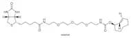 TCO*-PEG3-Biotin equatorial isomer