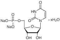 Uridine 5'-Monophosphate Disodium Salt