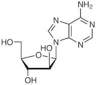 Vidarabine