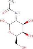 N-Acetyl-D-galactosamine