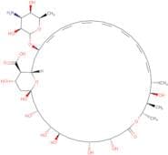 Amphotericin B, Antibiotic for Culture Media Use Only