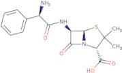 Ampicillin