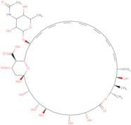 N-Acetylamphotericin B
