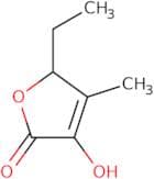 5-Ethyl-3-hydroxy-4-methyl-2(5H)-furanone