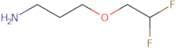 3-(2,2-Difluoroethoxy)propan-1-amine