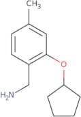 [2-(Cyclopentyloxy)-4-methylphenyl]methanamine