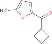 2-Cyclobutanecarbonyl-5-methylfuran