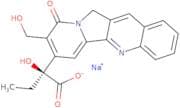 Sodium camptothecin