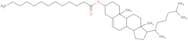 Cholesteryl tridecanoate