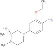 2-Ethoxy-4-(3,3,4-trimethylpiperazin-1-yl)aniline