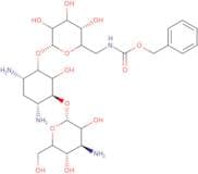 6'-N-Cbz-kanamycin A