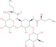 1,3-Di-HABA kanamycin A