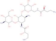 1,6'-Di-HABA kanamycin A
