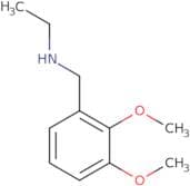 N-(2,3-Dimethoxybenzyl)ethanamine