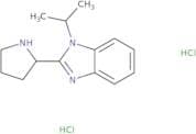1-(Propan-2-yl)-2-(pyrrolidin-2-yl)-1H-1,3-benzodiazole dihydrochloride