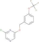 2-Chloro-6-{[3-(trifluoromethoxy)phenyl]methoxy}pyrazine